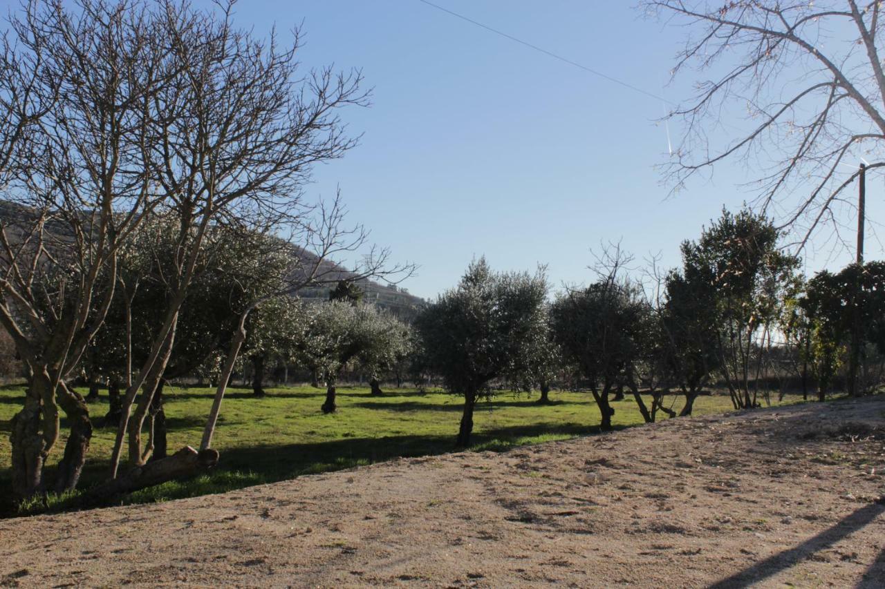 Affittacamere Quinta Chao Do Nabal Belmonte  Esterno foto