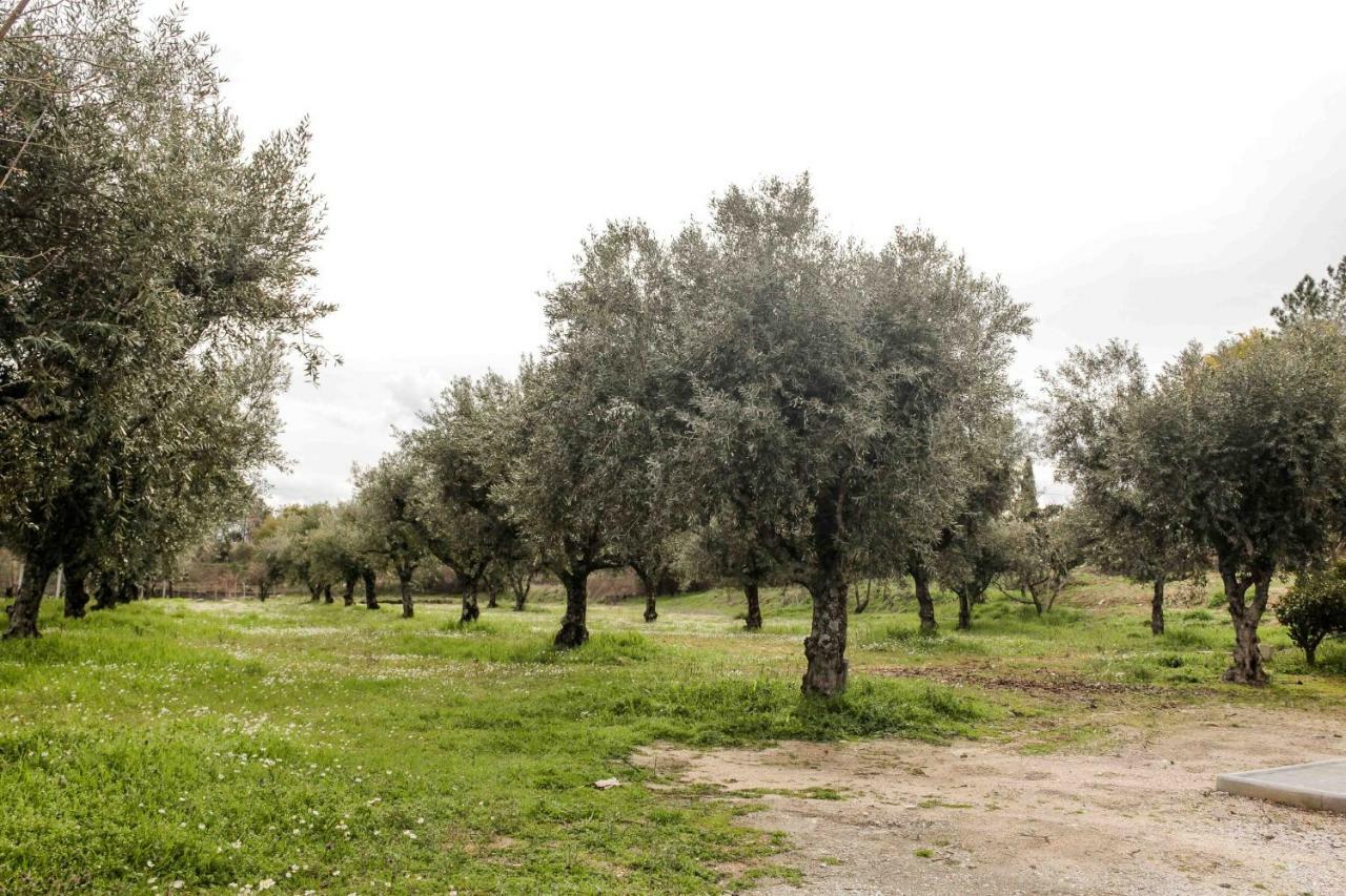 Affittacamere Quinta Chao Do Nabal Belmonte  Esterno foto